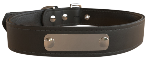 Collier Chien Personnalisé - Classic