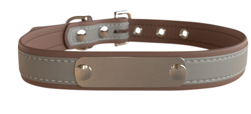 Collier Chien Personnalisé  - Réfléchissant