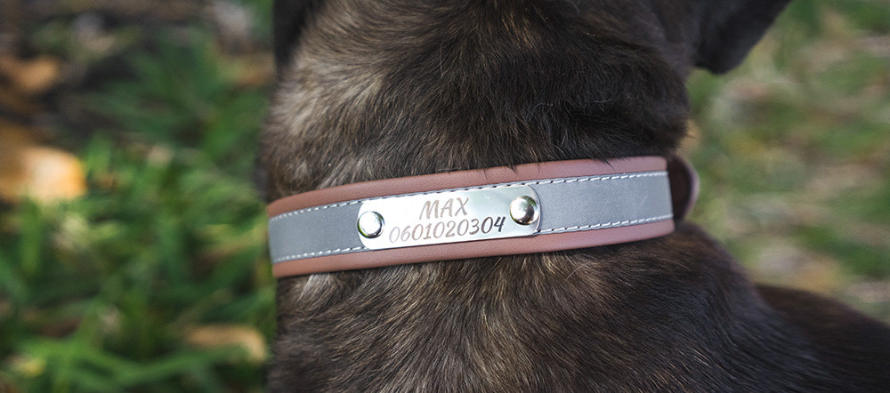 Collier Chien Personnalisé  - Réfléchissant